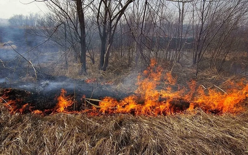 Памятка. Федеральный государственный пожарный надзор предупреждает
